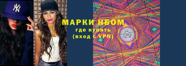 индика Надым