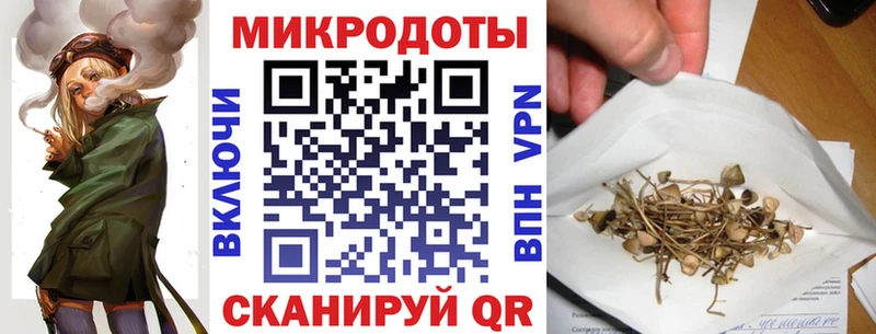 hydra ССЫЛКА  Наро-Фоминск  Галлюциногенные грибы Psilocybine cubensis 
